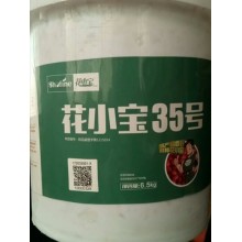 花小寶35号花生種(zhǒng)子聖豐種(zhǒng)業出品