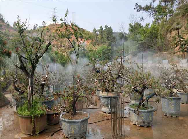 福州水肥一體化設備-福州雨順灌溉設備廠家-龍岩水肥一體化設備