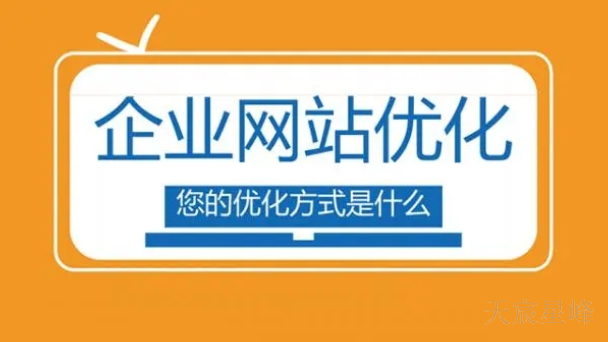 陝西公司網站優化排名 服務爲先 陝西天宸星峰信息科技供應