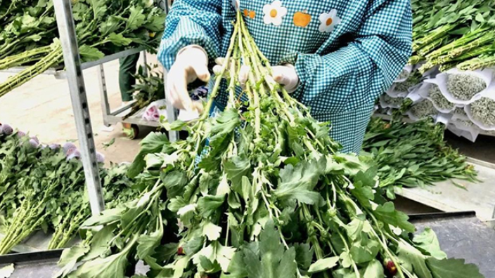 創意鮮花包裝加工 值得信賴 山東鑫